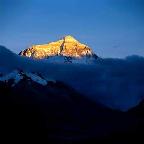 16 燕子妈妈笑了